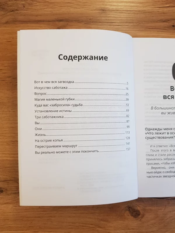 Прекрасти саботаж и начни жить по максимуму  +Тетрадь финансовой свободы +ПОДАРОК — изображение 5
